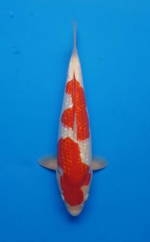 WhatsApp Image 2019-07-18 at 12.10.15