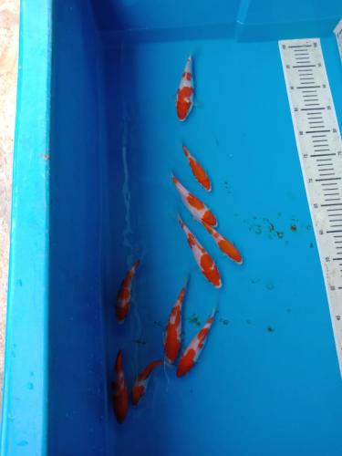 WhatsApp Image 2019-07-18 at 12.10.17(1)