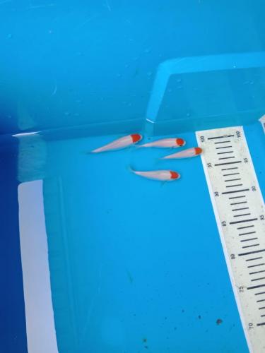 WhatsApp Image 2019-07-18 at 12.10.17