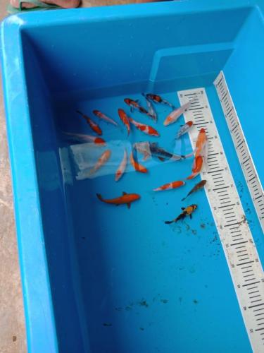 WhatsApp Image 2019-07-18 at 12.10.22