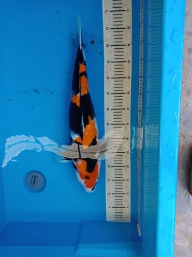 WhatsApp Image 2019-07-18 at 12.10.41