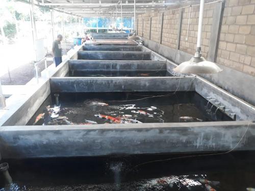 WhatsApp Image 2019-07-21 at 19.57.00 (1)