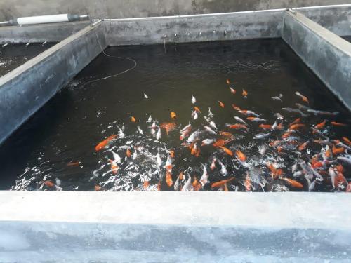 WhatsApp Image 2019-07-21 at 19.57.01(1) (1)