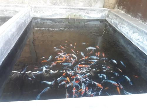 WhatsApp Image 2019-07-21 at 19.57.01(2)