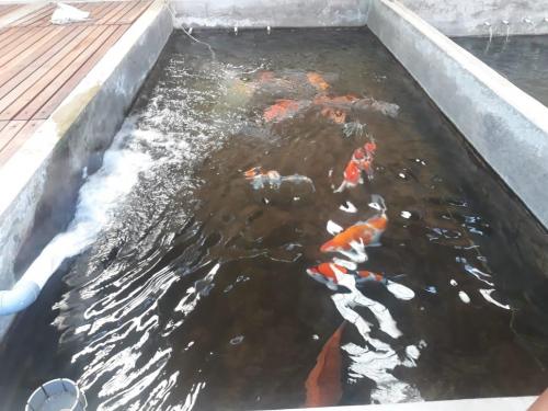 WhatsApp Image 2019-07-21 at 19.57.01