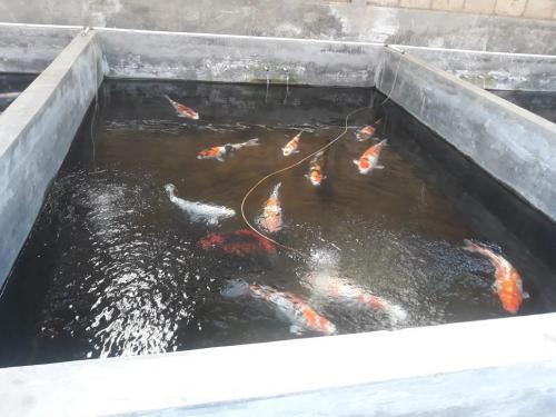 WhatsApp Image 2019-07-21 at 19.57.02(1) (1)