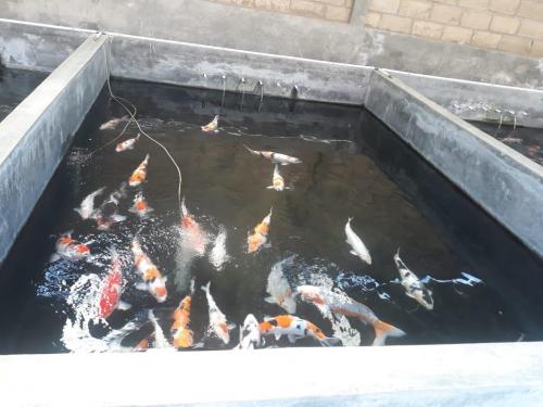 WhatsApp Image 2019-07-21 at 19.57.02(2) (1)