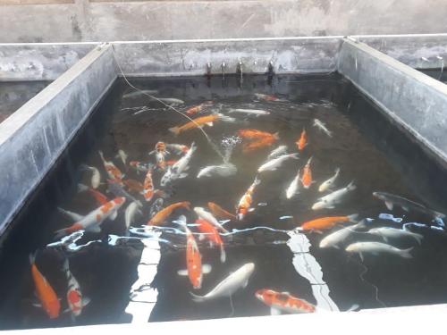 WhatsApp Image 2019-07-21 at 19.57.02(3) (1)