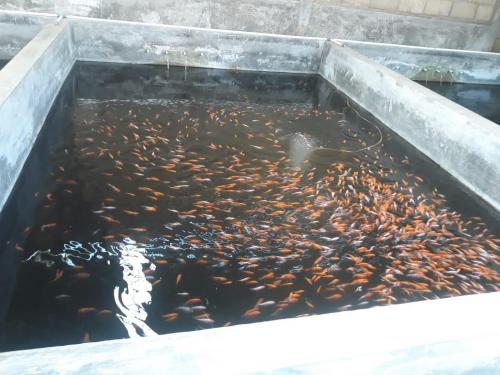 WhatsApp Image 2019-07-21 at 19.57.02 (1)