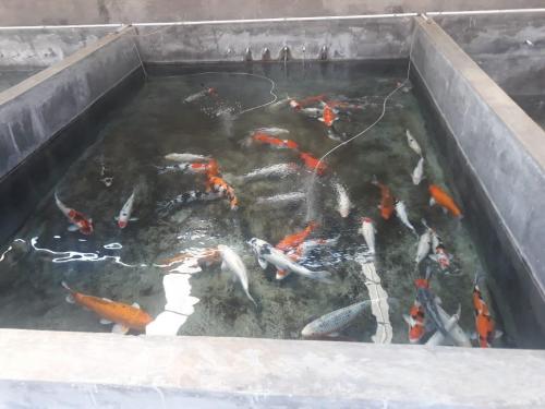 WhatsApp Image 2019-07-23 at 22.56.45(1) (1)