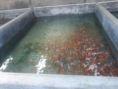 WhatsApp Image 2019-07-23 at 22.56.45(2) (1)