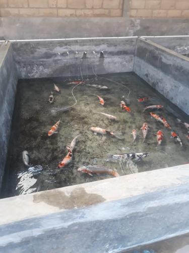 WhatsApp Image 2019-07-23 at 22.56.45 (1)