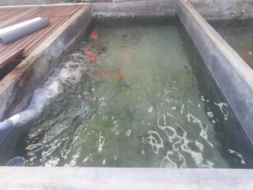 WhatsApp Image 2019-07-23 at 22.56.46(2) (1)