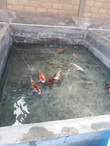 WhatsApp Image 2019-07-23 at 22.56.46(4) (1)