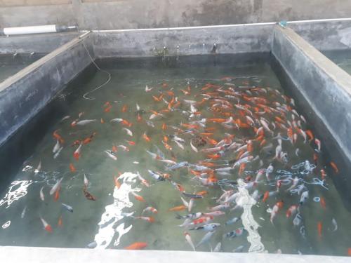 WhatsApp Image 2019-07-23 at 22.56.46 (1)