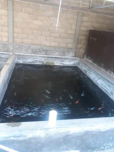 WhatsApp Image 2019-07-23 at 22.56.47 (1)