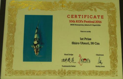 1st Prize, Shiro Utsuri, 38 Cm