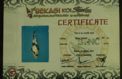 Shiro Utsuri, Size 45 Cm, 1st Prize