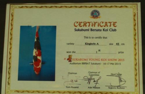 Kinginrin A, Size 45 Cm, 1st Prize