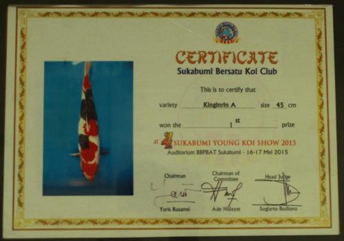 Kinginrin A, Size 45 Cm, 1st Prize